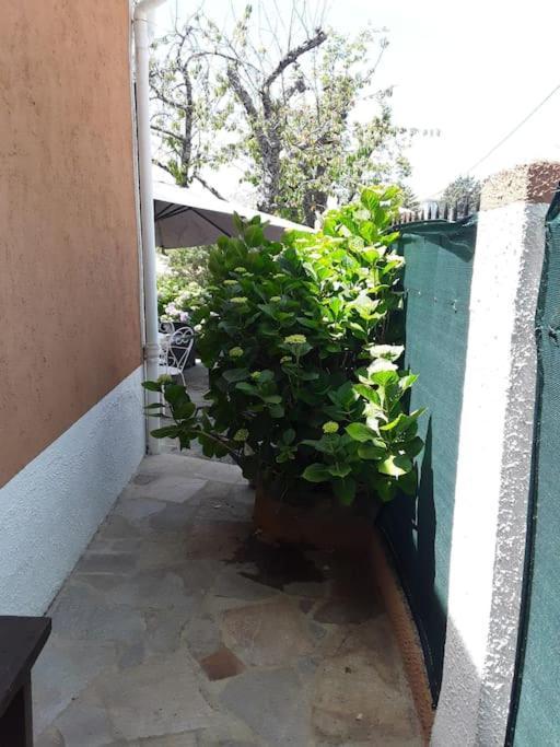 Petit Coin De Paradis Evisa Luaran gambar
